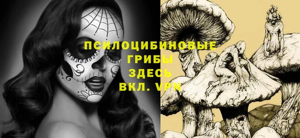 прущие крисы Снежинск