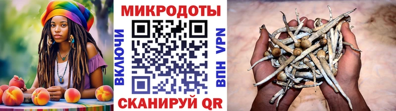 Псилоцибиновые грибы ЛСД  Лагань 